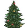 Natal 20