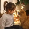 😻 Esse gatinho vc ainda ñ tem 13