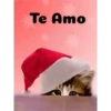 Natal 13