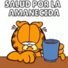 Garfield🐱🧡 21