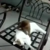 🐒 aquela do macaquinho 26