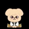 SKZOO INA ver. 22