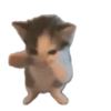 Duke kërcyer, duke kërcyer dhe duke kërcyer 🕺💃🪩 6