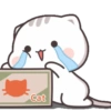 Mochi cat 6