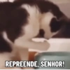 Ah, sei lá 3 29