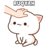 Mochi cat 5