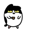 Cute cat 14