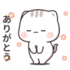 Mochi cat 11