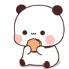 WhiteBrownBears 10