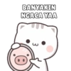 Mochi cat 10