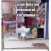 Paya payaso 22