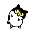 Cute cat 5