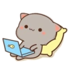 Mochi Peach cat 14 30
