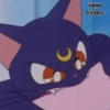Animes #20 30