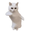 🐈 Gatitos 🐈‍⬛ 23