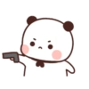 WhiteBrownBears 11
