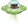 ALIENÍGENAS  5
