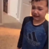 Dog Gifs 🐶 11