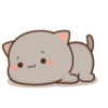 Mochi Peach cat 14 29