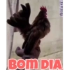 Desenho 23