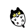 Cute cat 15