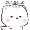 Mochi cat 8