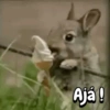 Variados 04mov 15
