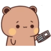 WhiteBrownBears 9