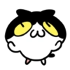 Cute cat 8