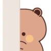 WhiteBrownBears 19