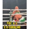 Popó e Wanderlei | meme 8