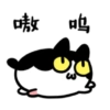 Cute cat 6