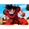 Goku 15