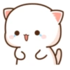 Mochi cat 17
