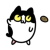 Cute cat 12