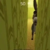 Jiji 8