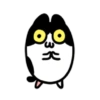 Cute cat 11