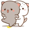 Mochi cat 20