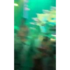 Animados 2 20