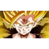 Goku 6