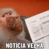 🐒 Pra mandar no trabalho 31