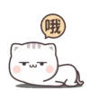 Kucing gemoy 23