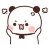 WhiteBrownBears 13