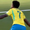 COPA、BRASIL  🇧🇷 ⭐️ 23