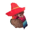México 🇲🇽 mov 27