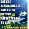 BUEN DÍA 9