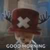 One Piece Tony Tony Chopper  12