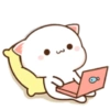 Kucing Gemoy Lucu 4 9