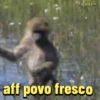 Diversión* 28