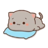 Kucing Gemoy Lucu 4 18